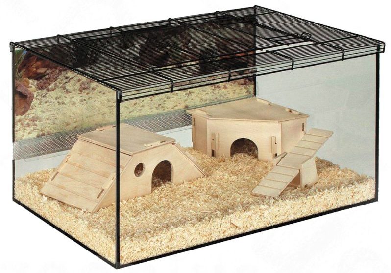 Glass Dwarf Hamster Cage