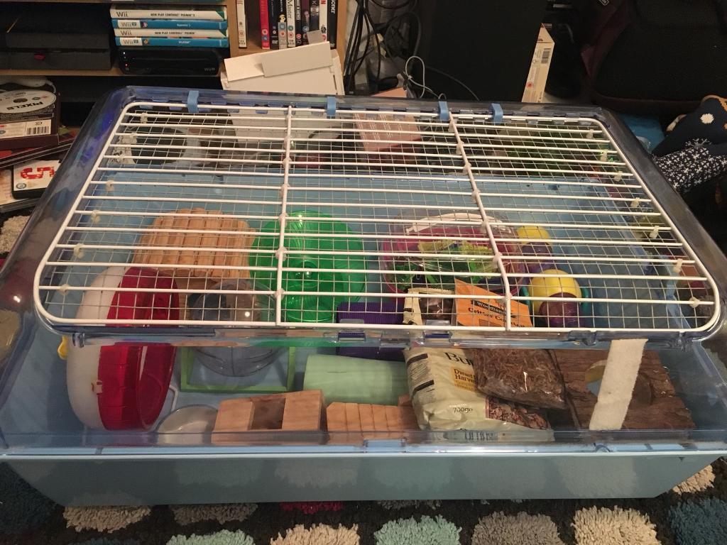 Best Dwarf Hamster Cages 